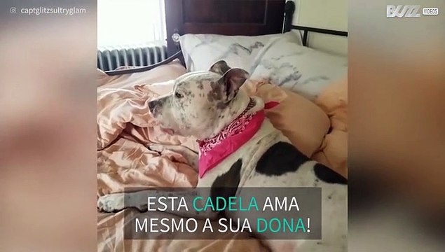 Cadela adora dizer que ama a dona!