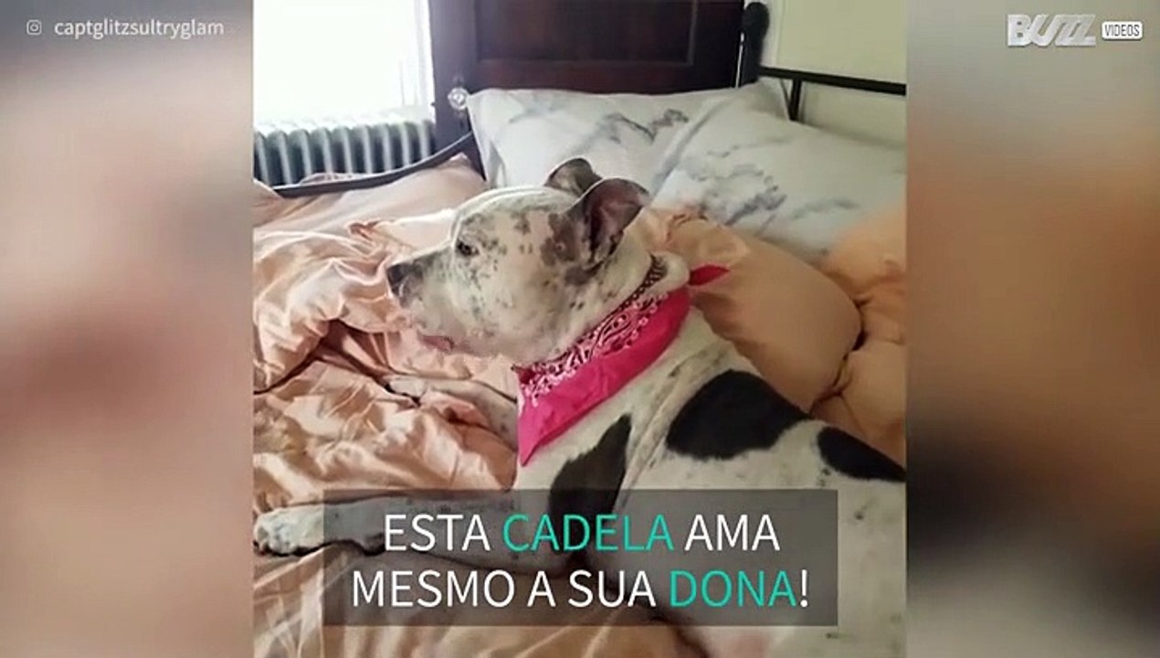 Cadela adora "dizer" que ama a dona!