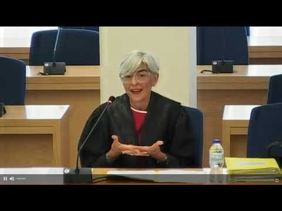 Tubau diu que sembla que els fiscals pretenguin fer un "copia i enganxa" de la sentència del Suprem