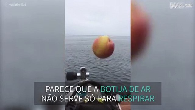 Mergulhadores usam botija de ar para levitar uma maçã