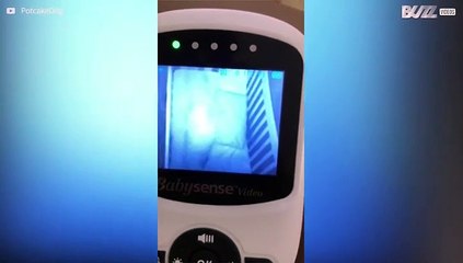 Bebé tenta escapar do berço à força!