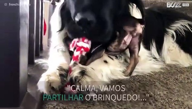 Uma verdadeira amizade não se mede pelo tamanho de ninguém