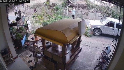 Careless Tree Cutting Leads to Close Call for Passersby