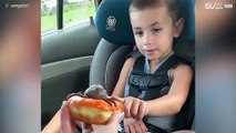 Terá este menino medo de donuts ou aranhas?