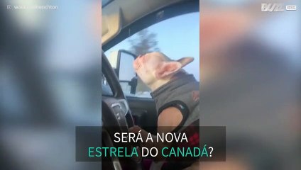 Cantores tenham cuidado! Há um cão talentoso por aí