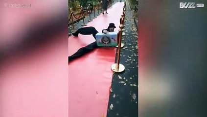Até os artistas profissionais (por vezes) falham no seu ofício