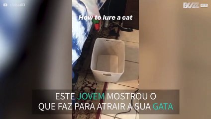 Jovem mostra como se atrai um gato!