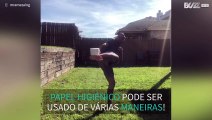 Alguma vez viu artes marciais feitas com papel higiénico?