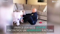 Atleta de Jiu-jitsu treina com o seu cão