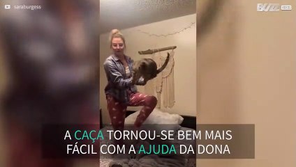 Dona ajuda gato a caçar uma traça