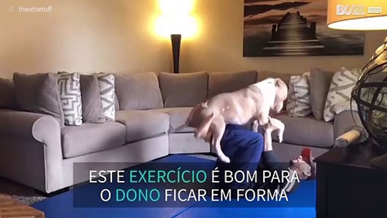 Cão adorável ajuda o dono a manter-se em forma