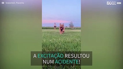 Cão vai contra câmara em slow-motion!