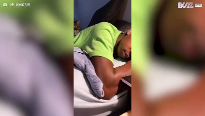 Gato leva tampa de garrafa para a cama