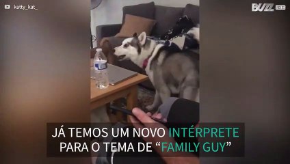 Husky adora cantar o tema de Family Guy