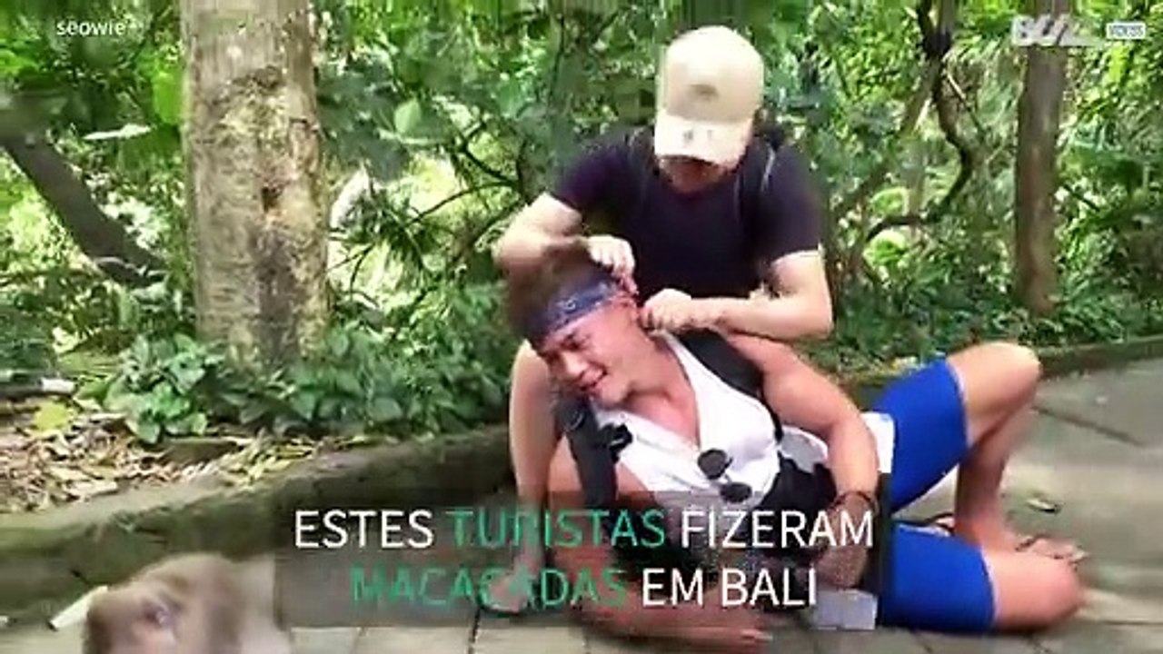 Turistas imitam macacos e criam momento hilariante