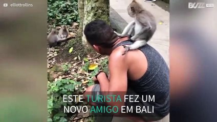Macaco interage com turista em Bali - 1