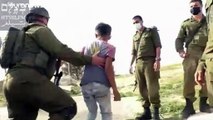 Cisgiordania: i militari israeliani arrestano dei bambini che raccolgono carciofi