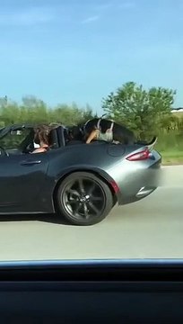 Il laisse son chien à l'arrière de sa voiture alors qu'il roule à 110 kmh