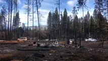 Incêndios florestais deixam um morto e 11 desaparecidos na Argentina