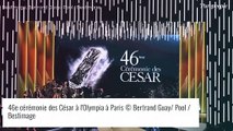 César 2021 : Le palmarès complet de la 46e cérémonie !
