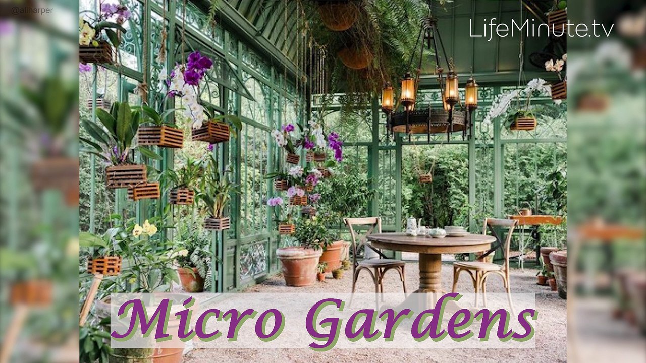 Micro Gardens