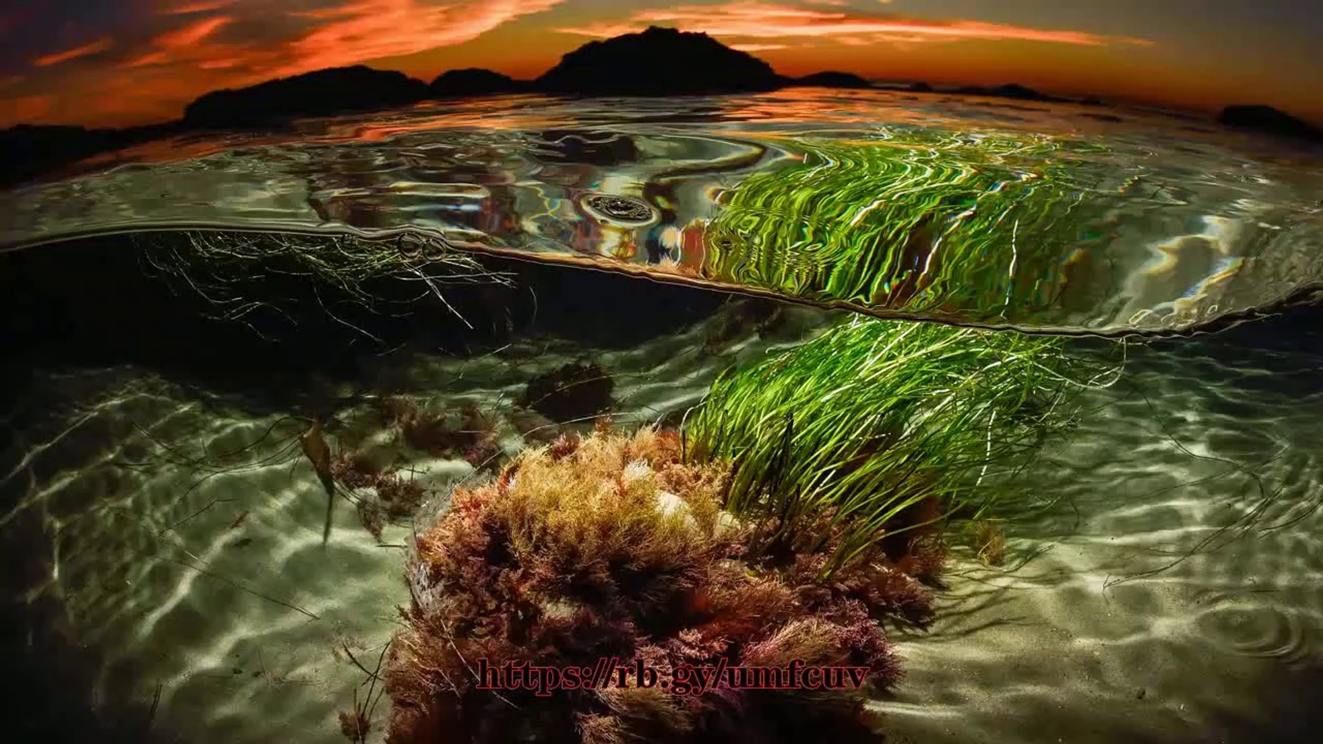 醉人小喇叭音乐 (UHD)