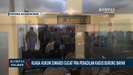 Tim Kuasa Hukum Tersangka Dugaan Perdagangan Burung Bayan Menggugat Pra Peradilan