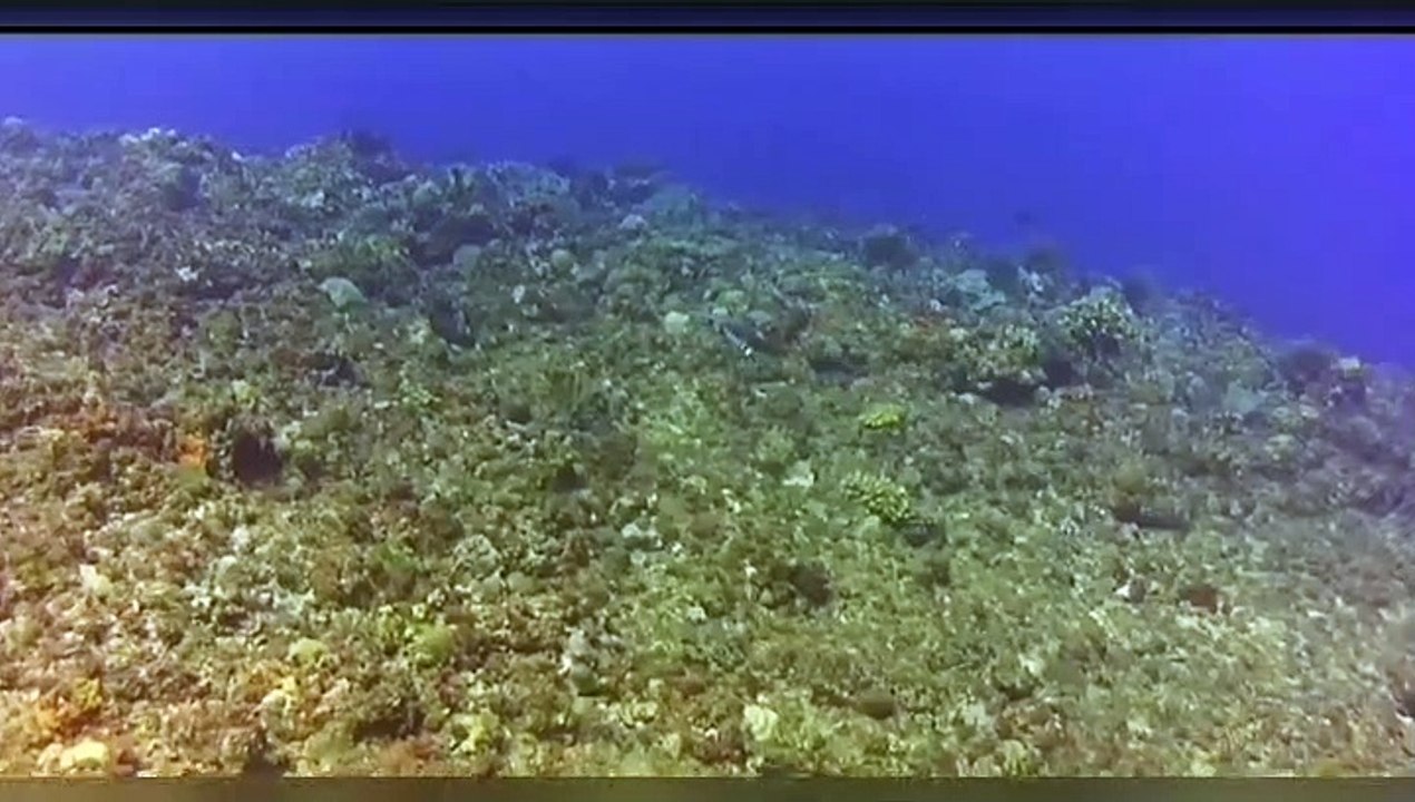 Diving7