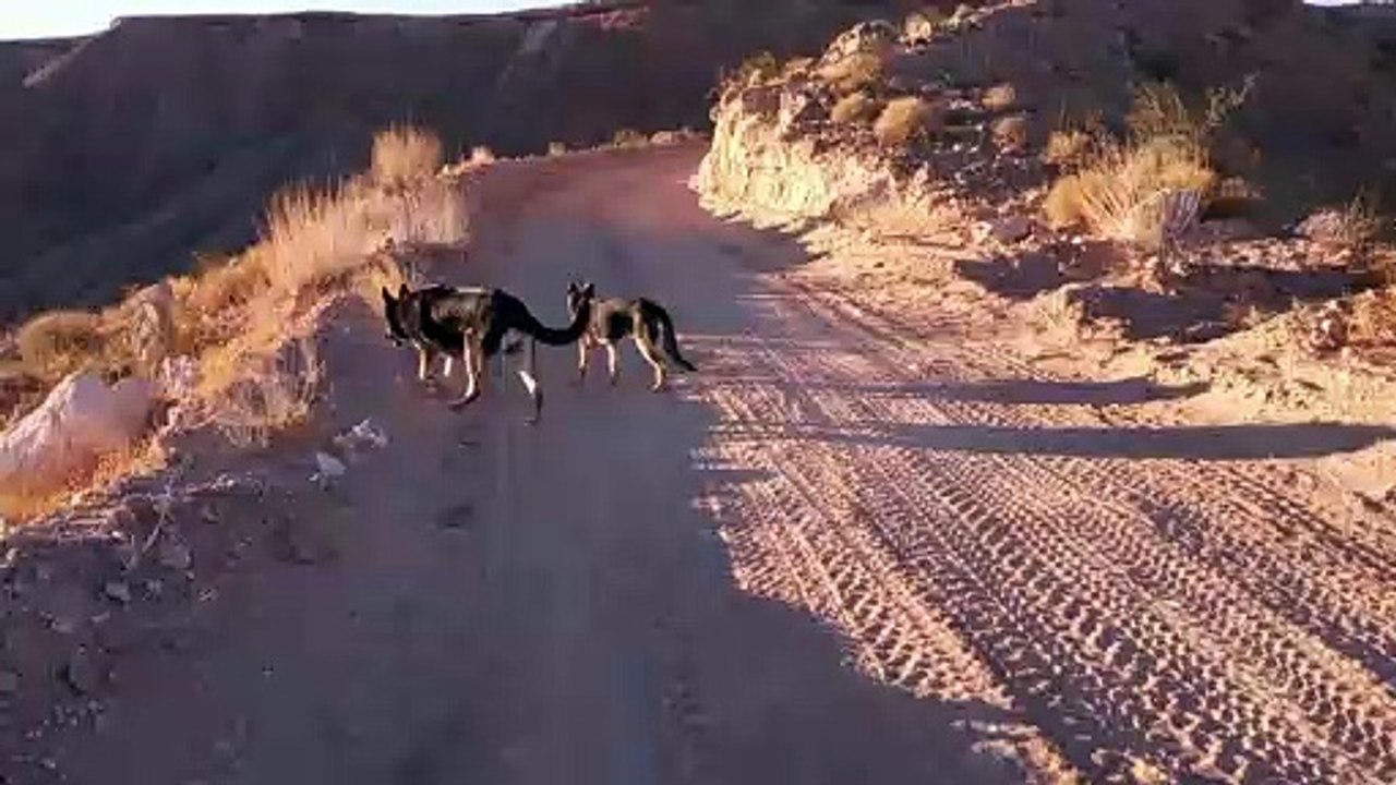 Hiking Up Foothills Trailhead