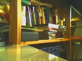 The Simpsons and sonic adventure 1