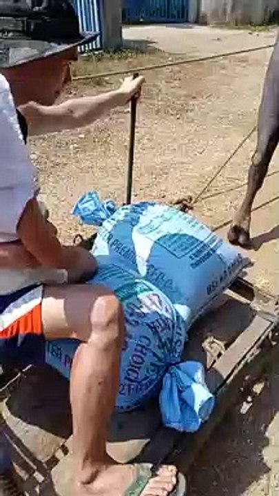 risk taker