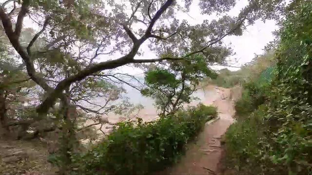 Balade plage de la Badine, Presqu'Ile de Giens