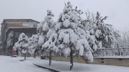 Kar yağışı ve tipi ulaşımı etkiledi