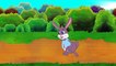 Tortoise and the Hare Cartoon  Fairy Tales and Bedtime Stories for Kids_Story time.