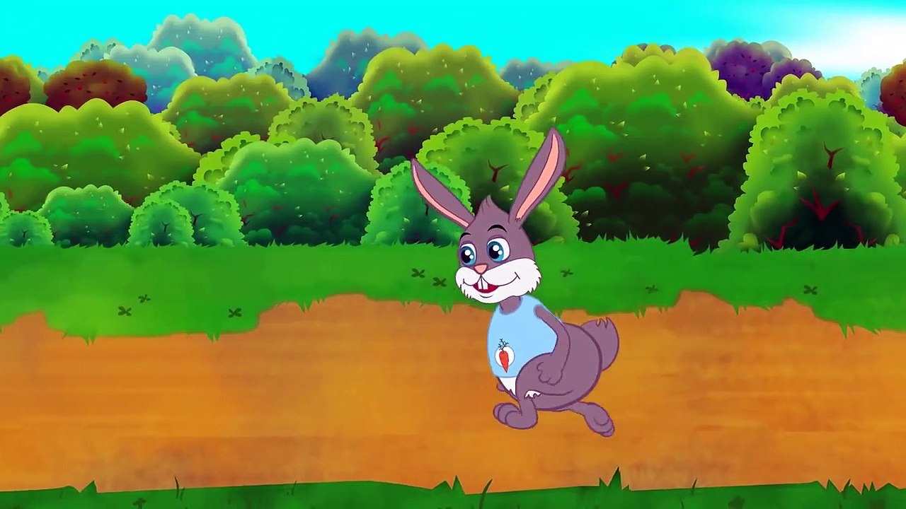 Tortoise and the Hare Cartoon  Fairy Tales and Bedtime Stories for Kids_Story time.