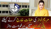 NAB seeks cancellation of Maryam's bail in sugar mills case