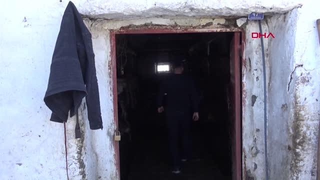 Rahvan atlarını yetiştirip, 100 bin liraya kadar satıyorlar