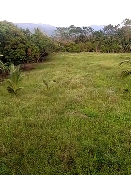 buhay probinsya