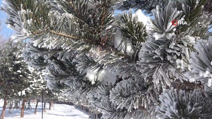 Mart ayında dondurucu soğuklar: Göle Eksi 28