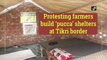 Protesting farmers build ‘pucca’ shelters at Tikri border