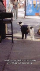 Musc Noir, el nuevo perfume de Narciso Rodríguez