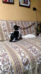 Casper's Playtime Adventures