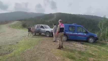 Tedavisi tamamlanan kızıl şahin doğaya salındı