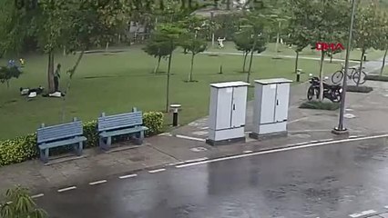 Hindistan'da yağmurdan korunmak isteyen 4 kişinin sığındığı ağaca yıldırım düştü