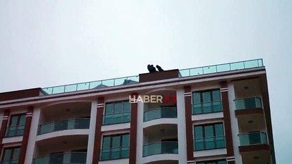 Rize'de 9 kişi aynı anda intihara kalkıştı