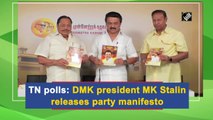 Tamil Nadu polls: DMK president MK Stalin releases party manifesto