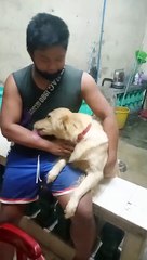 May bisita si Miya guys