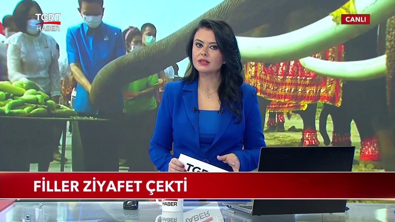 Tayland'da Filler Ziyafet Çekti