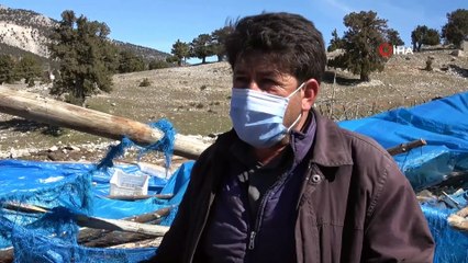 Mersin'de şiddetli rüzgarın yol açtığı hasarın yaraları sarılıyor