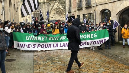 Entre 4500 et 5000 personnes défendent les langues régionales à Quimper